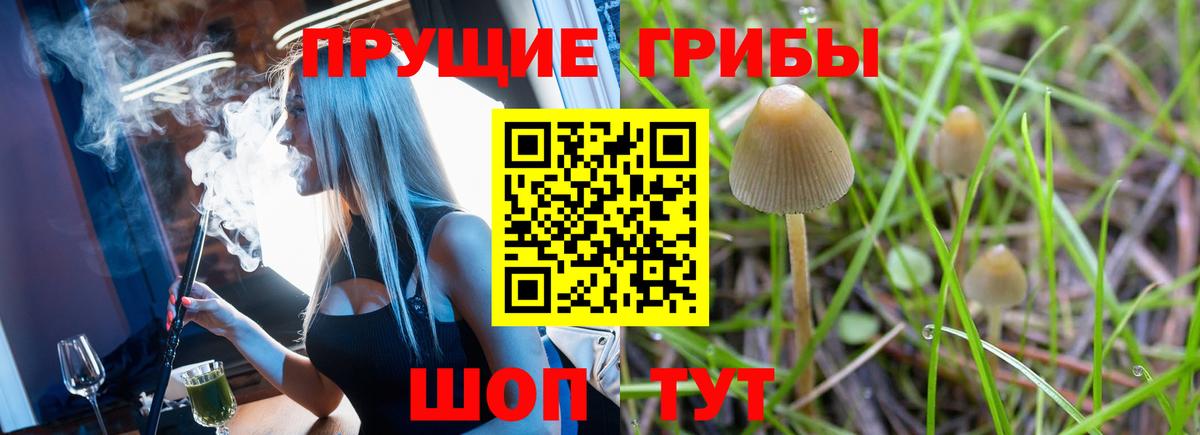 Рязань  Псилоцибиновые грибы мицелий  Вход с VPN 