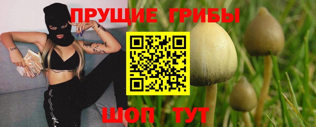 Галлюциногенные грибы мицелий Рязань