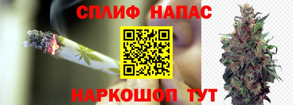 Каннабис конопля Рязань